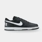 BIG NIKE LOW
