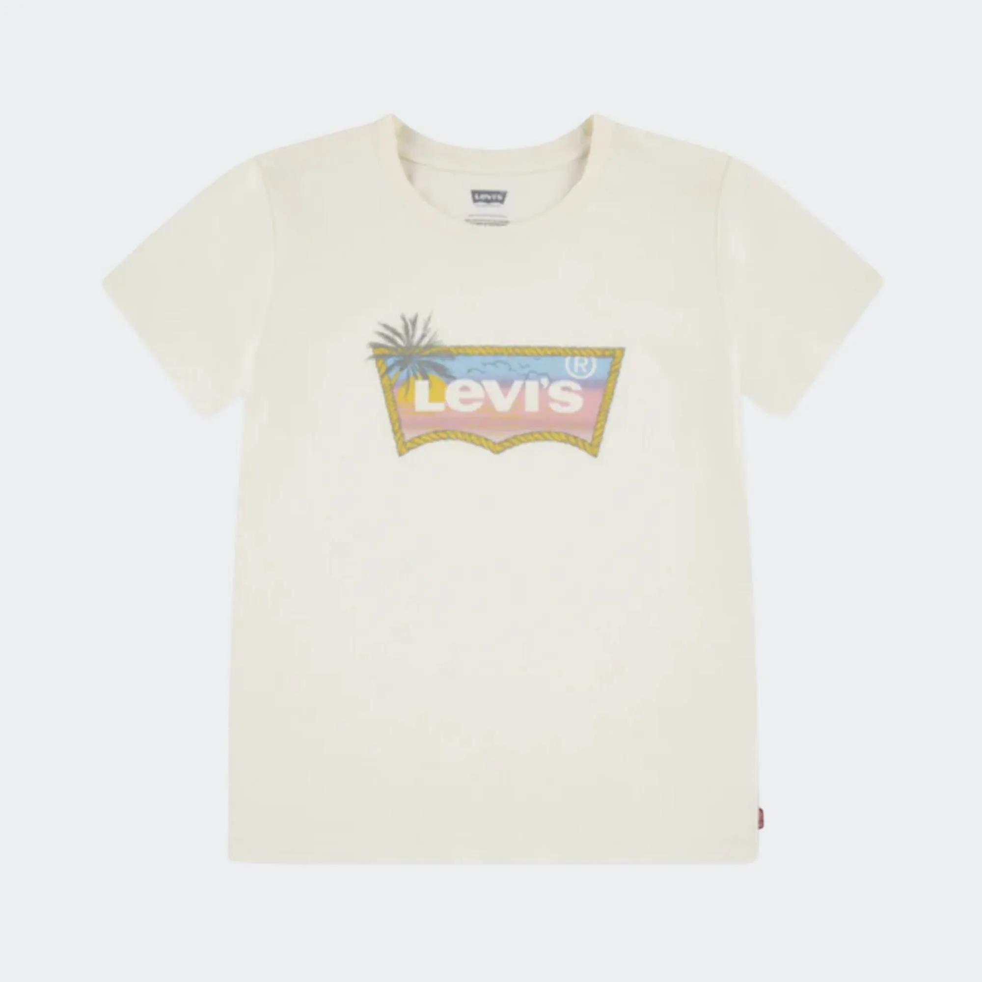 LEVI'S OMBRE BATWING TSHIRT
