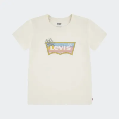 LEVI'S OMBRE BATWING TSHIRT