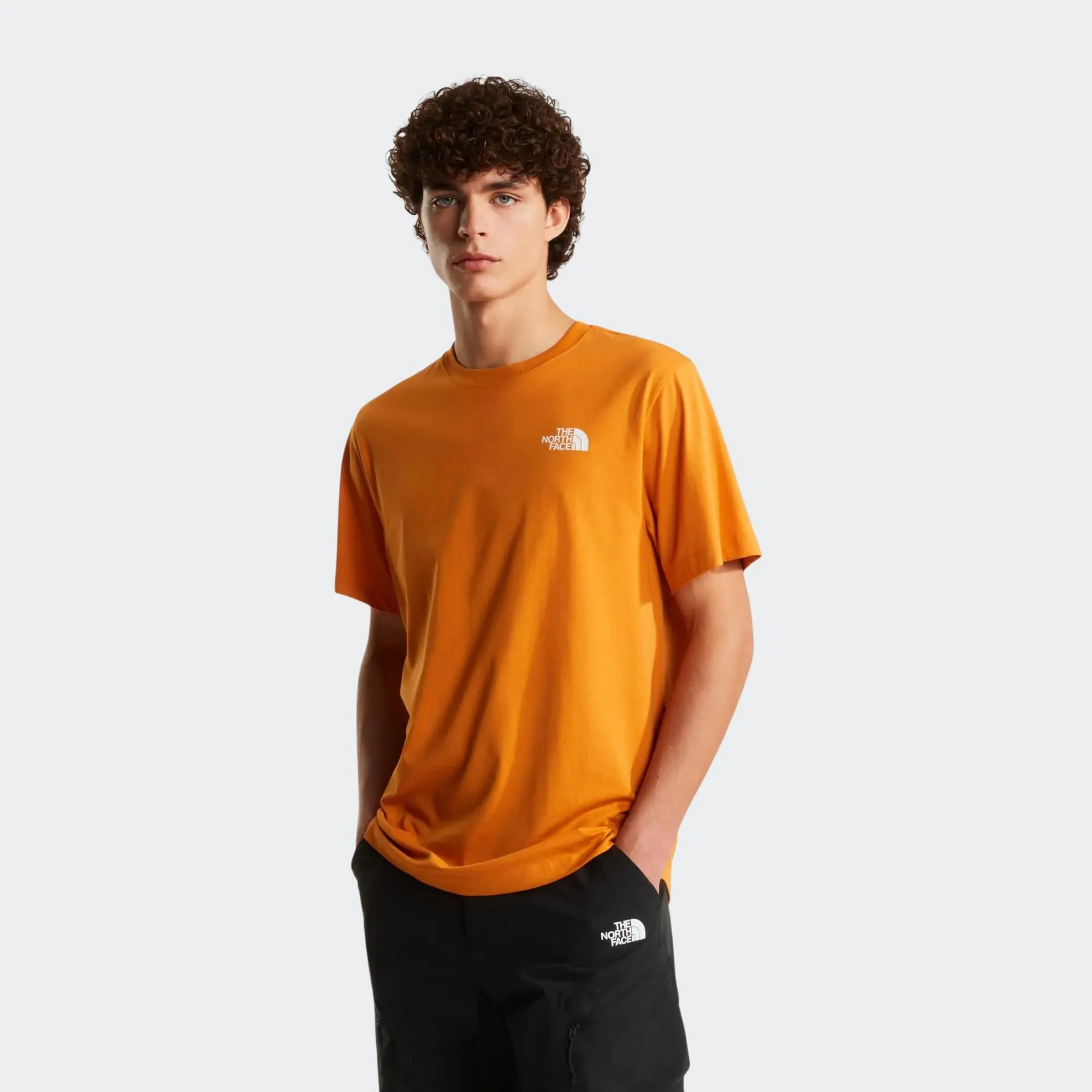 THE NORTH FACE EVO BOX TEE