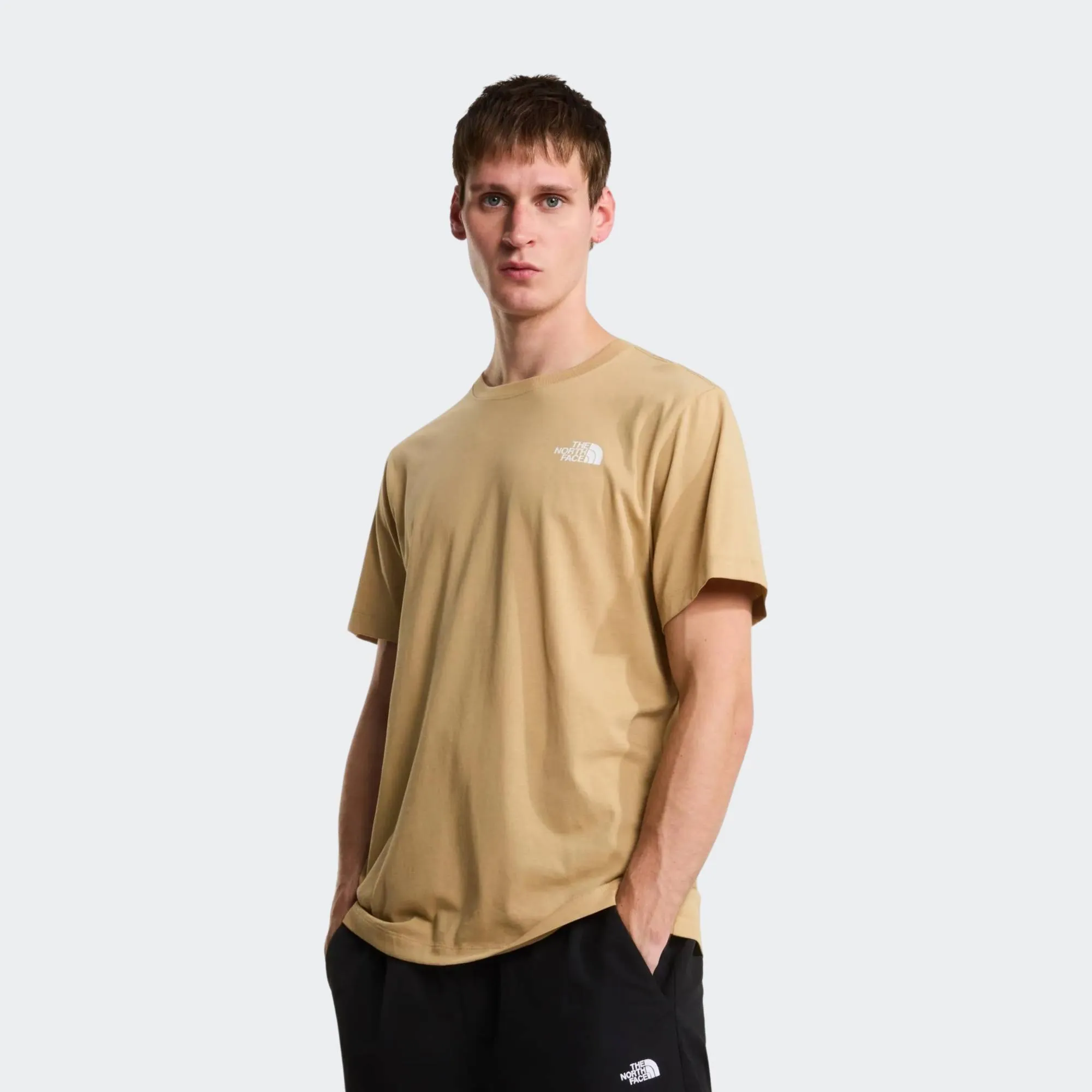 THE NORTH FACE EVO BOX TEE