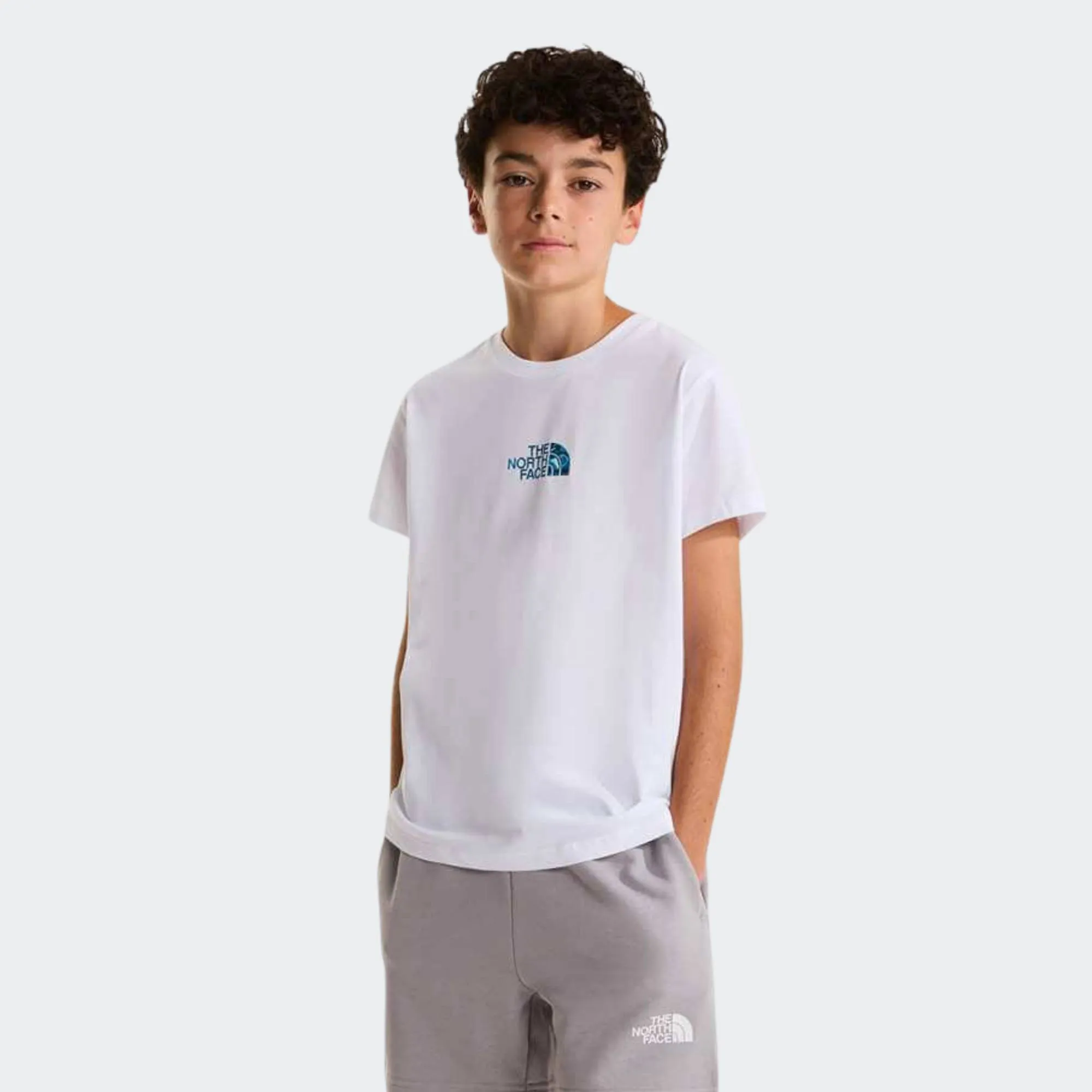 THE NORTH FACE LIQUID LOGO TEE