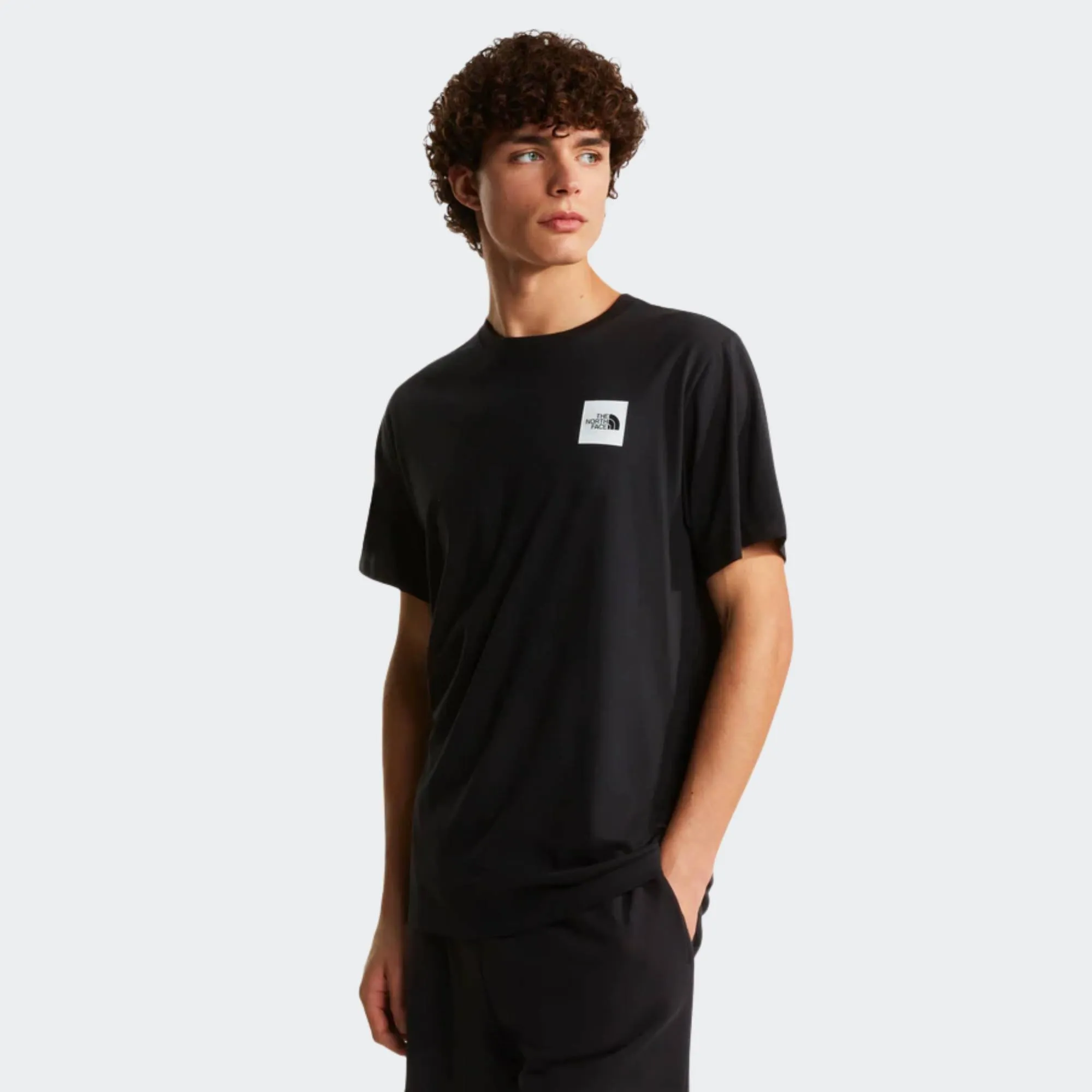 THE NORTH FACE EVO BOX TEE