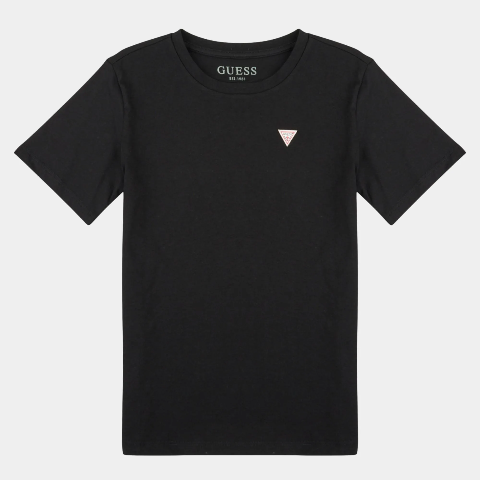 GUESS BOYS TSHIRT CORE