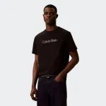 CALVIN KLEIN JEANS SPW STANDARD GRAPHIT TEE