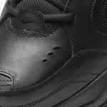 NIKE AIR MONARCH IV