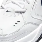 NIKE AIR MONARCH IV