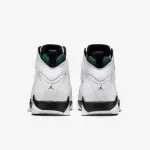 NIKE JORDAN TRUE FLIGHT