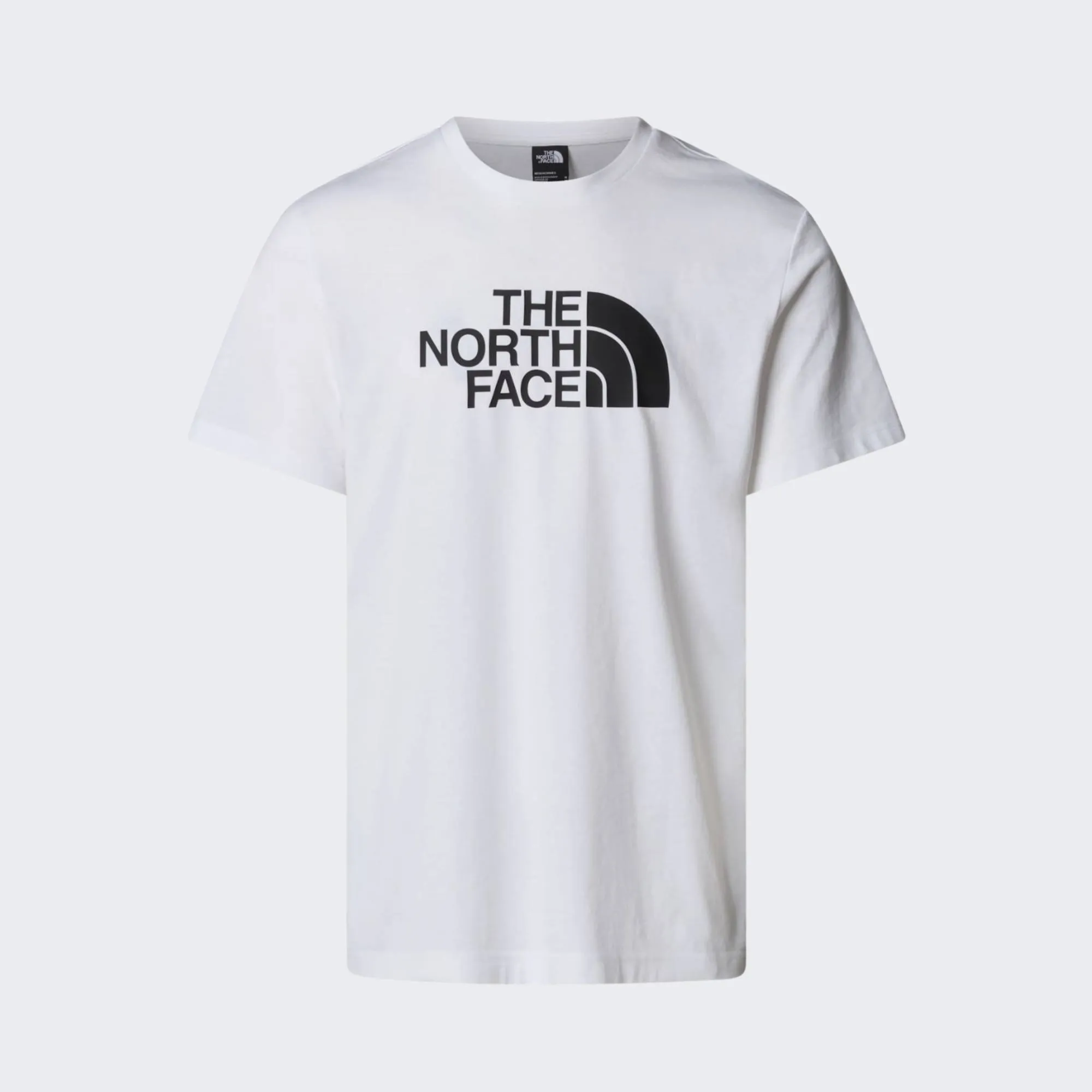 THE NORTH FACE MENS EASY TEE