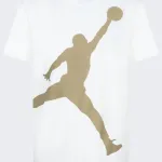 NIKE JUMBO JUMPMAN SHORT SET