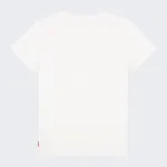 LEVI'S BATWING CHEST HIT