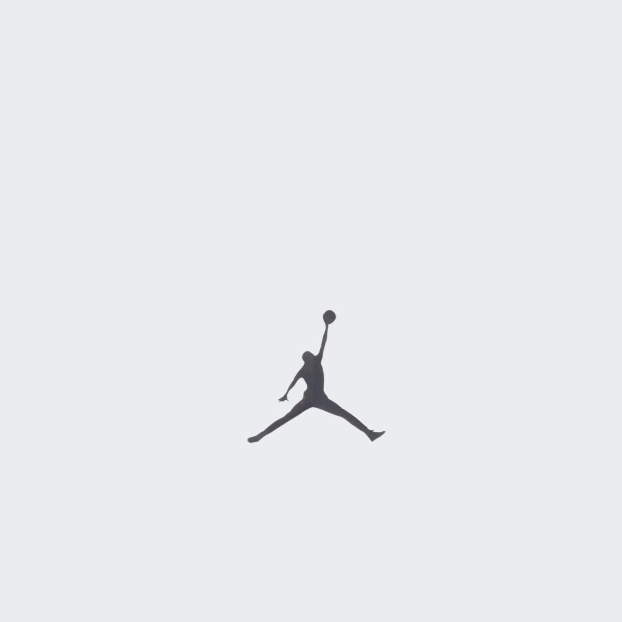 NIKE JORDAN WORDMARK CREW