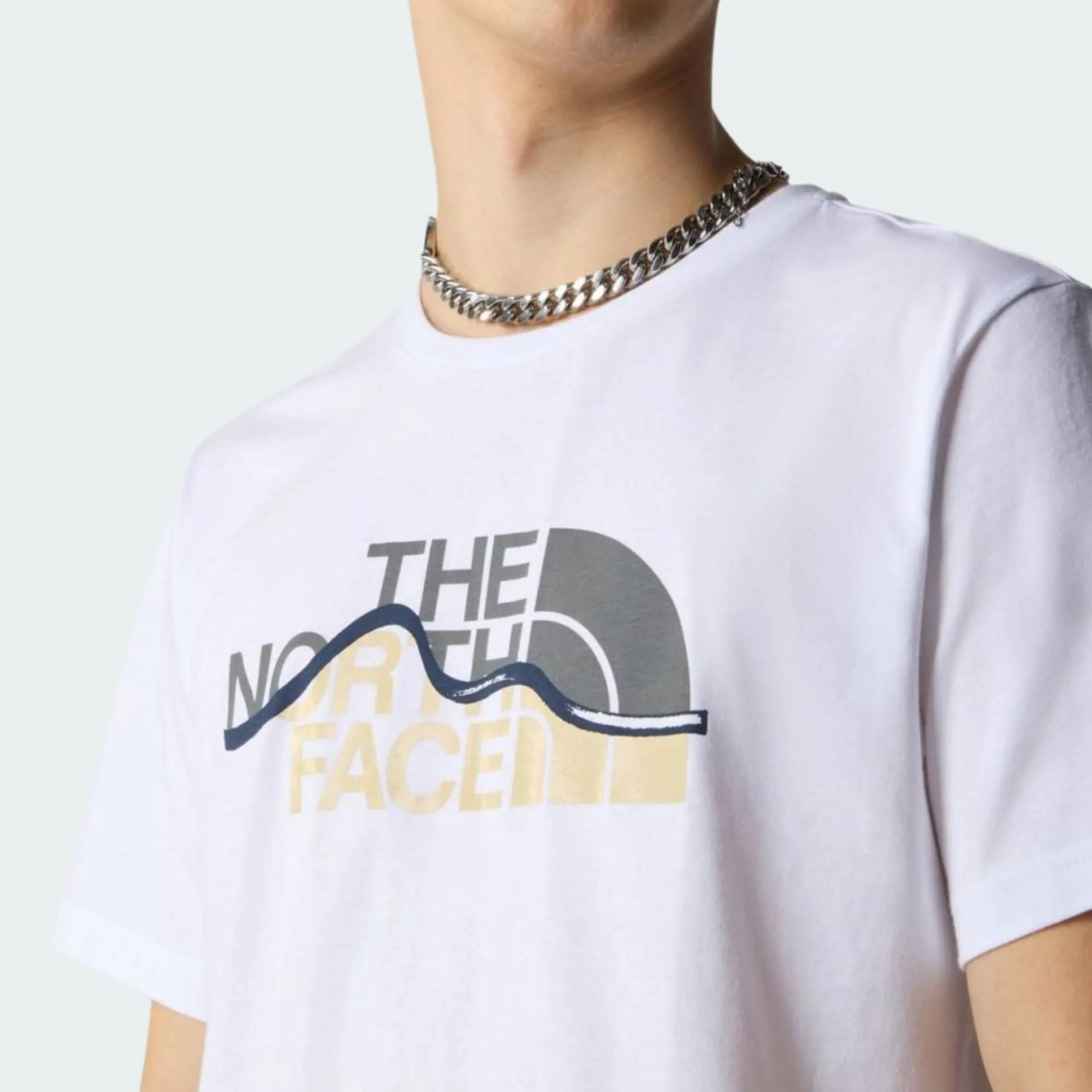 THE NORTH FACE MENS MOUNTAIN LINE TEE