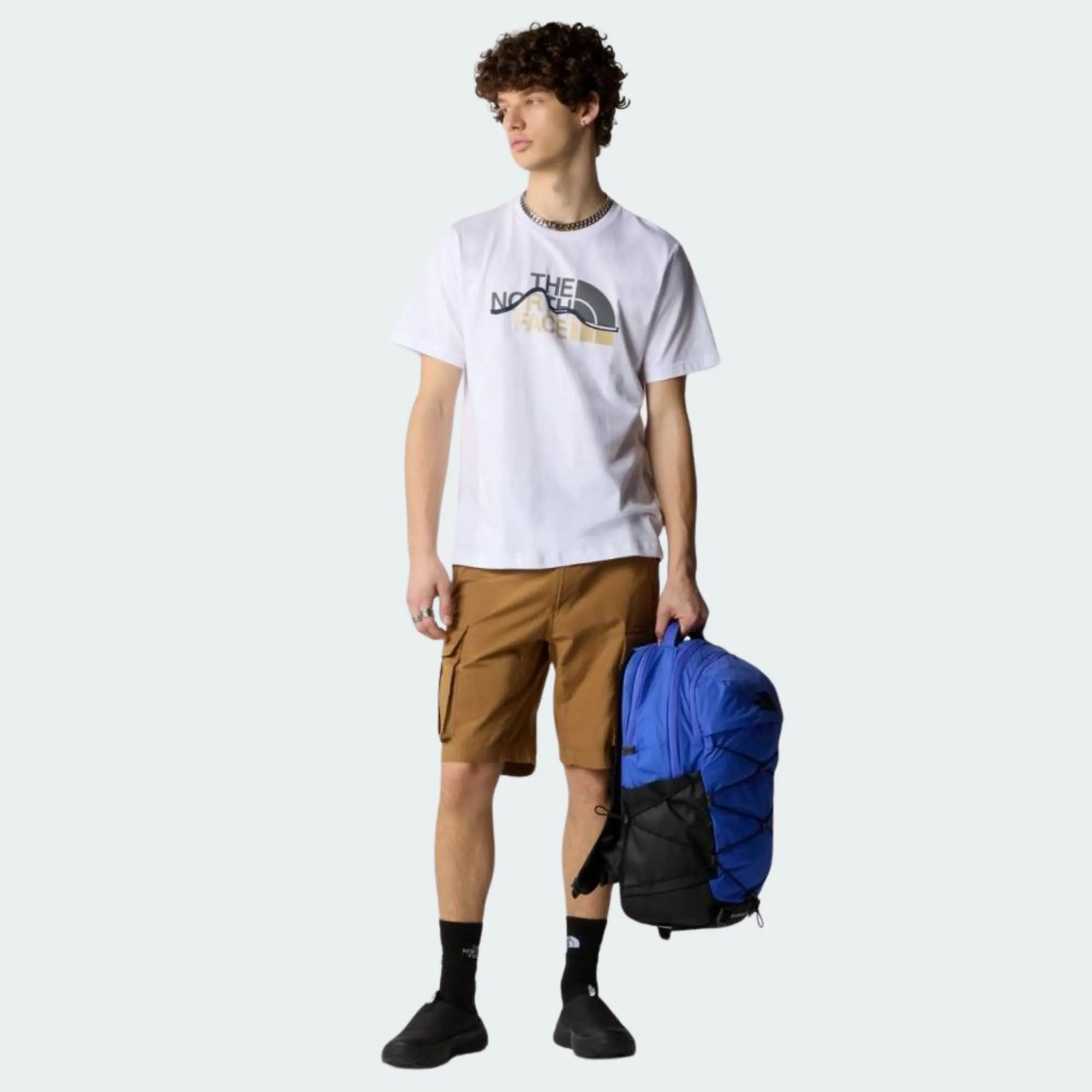 THE NORTH FACE MENS MOUNTAIN LINE TEE