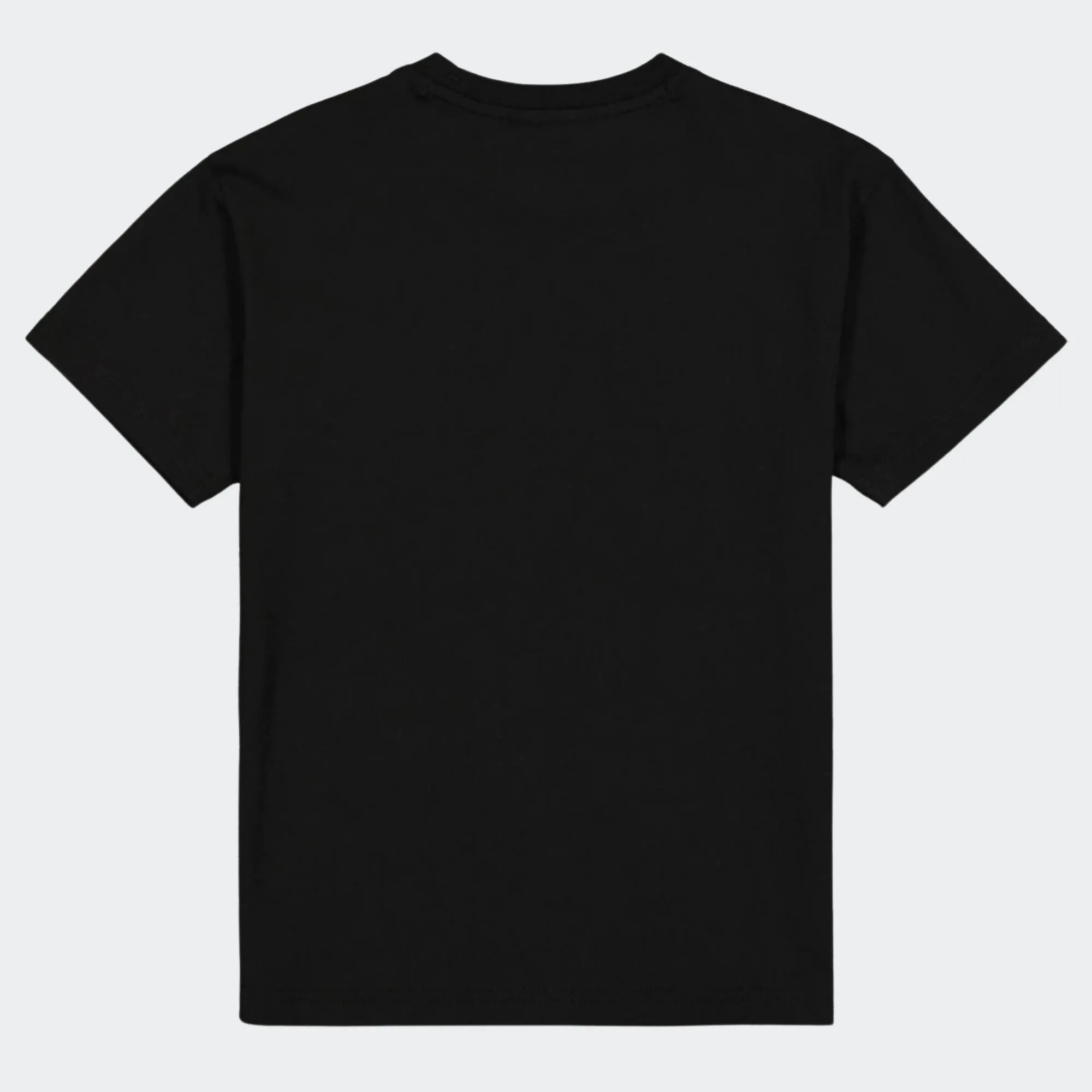 CHAMPION GRAPHIC GALLERY CREWNECK T-SHIRT