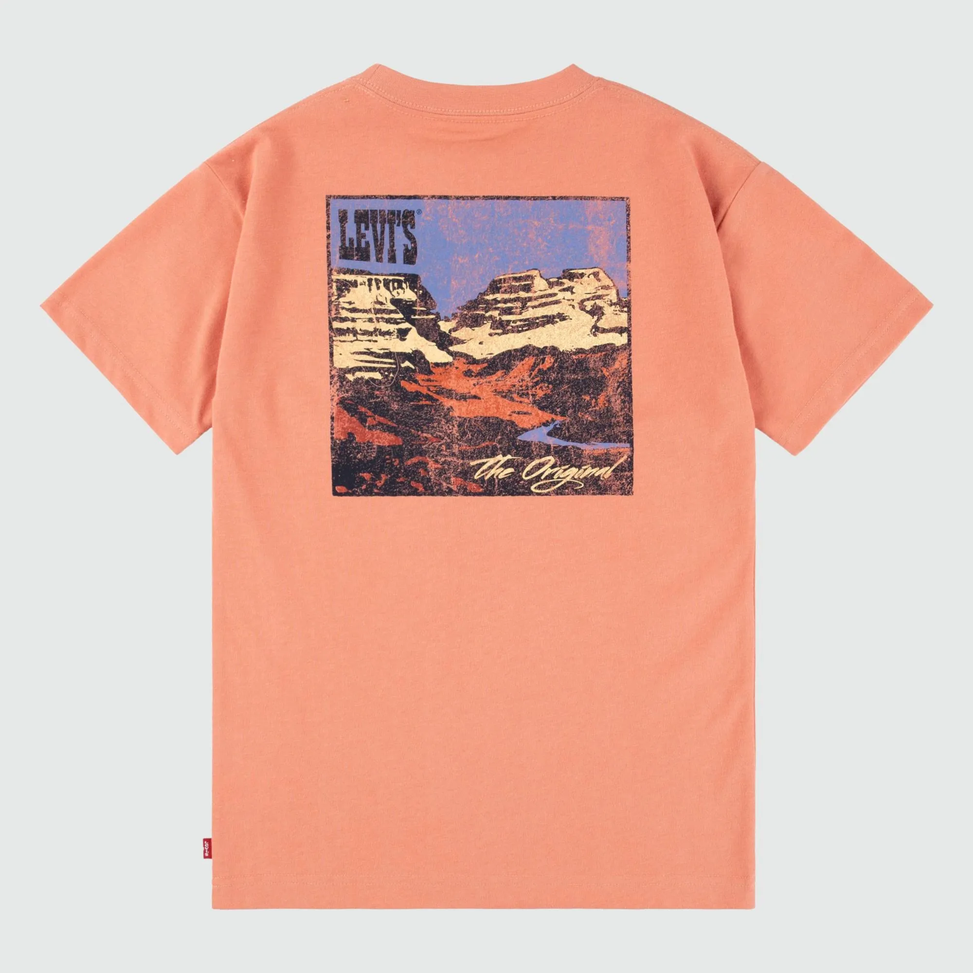 CANYON LANDSCAPE TEE