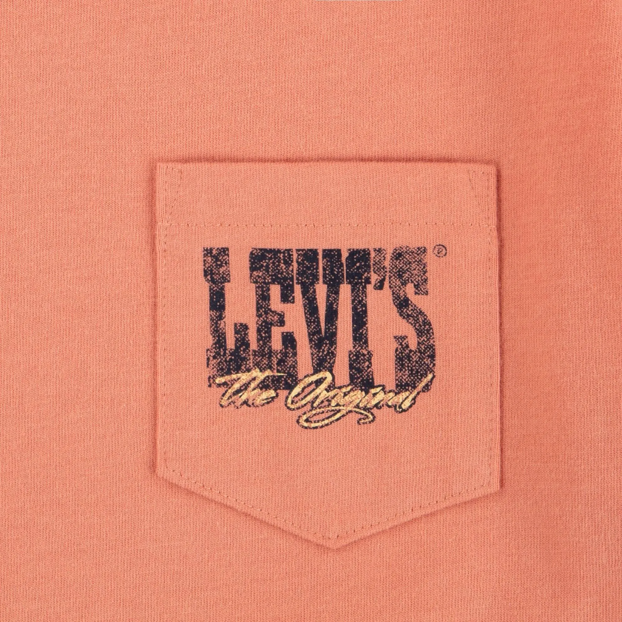 CANYON LANDSCAPE TEE