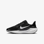 NIKE AIR ZOOM PEGASUS 41 GS