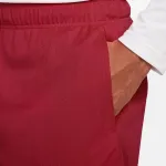 JORDAN DRI-FIT SPORT MESH SHORT PANT