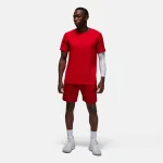 JORDAN DRI-FIT SPORT MESH SHORT PANT