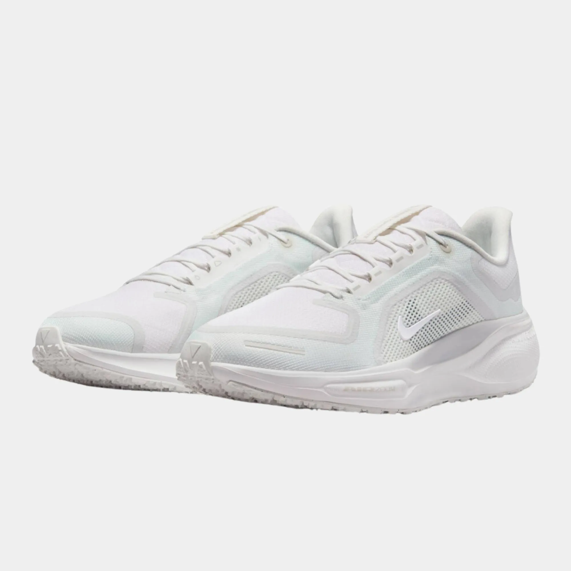 NIKE AIR ZOOM PEGASUS 41 GTX