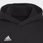 ADIDAS BOYS ENTRADA 22 HOODY