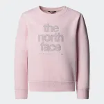 THE NORTH FACE GIRLS REFLECTIVE LOGO RELAXED CREW