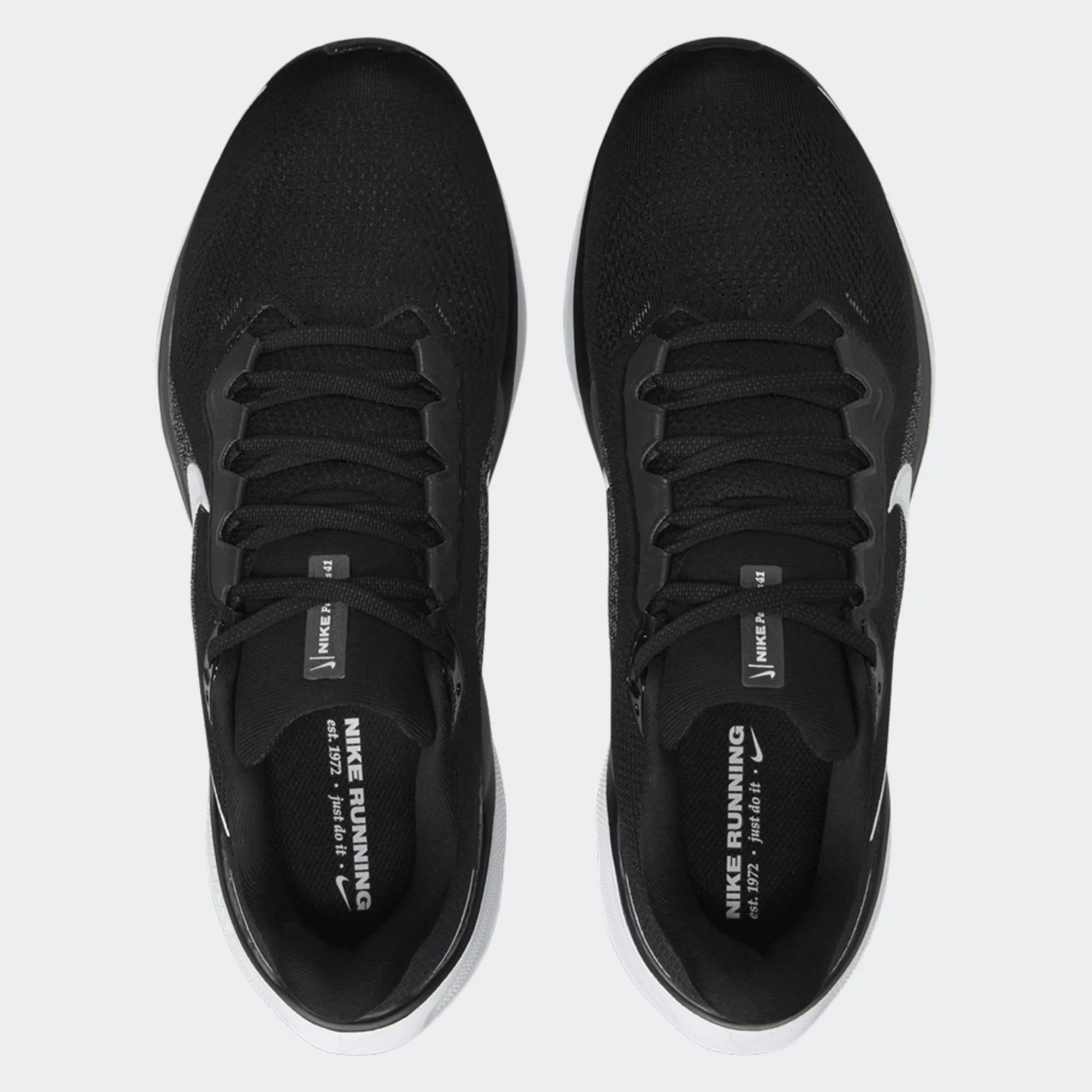 NIKE AIR ZOOM PEGASUS 41