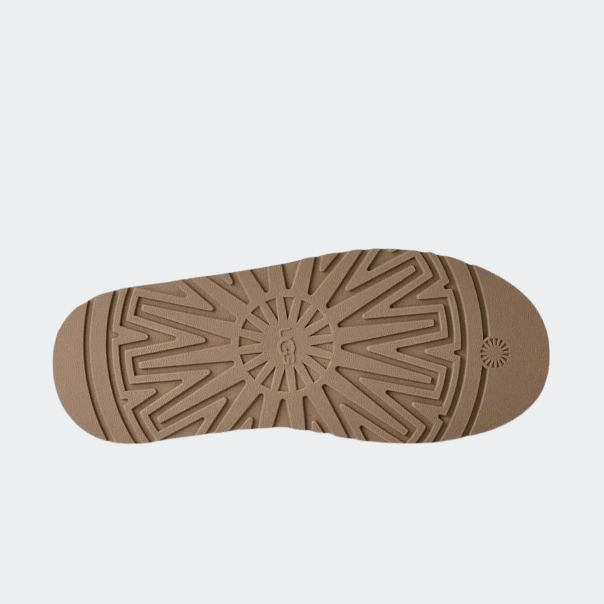 UGG TAZZ II