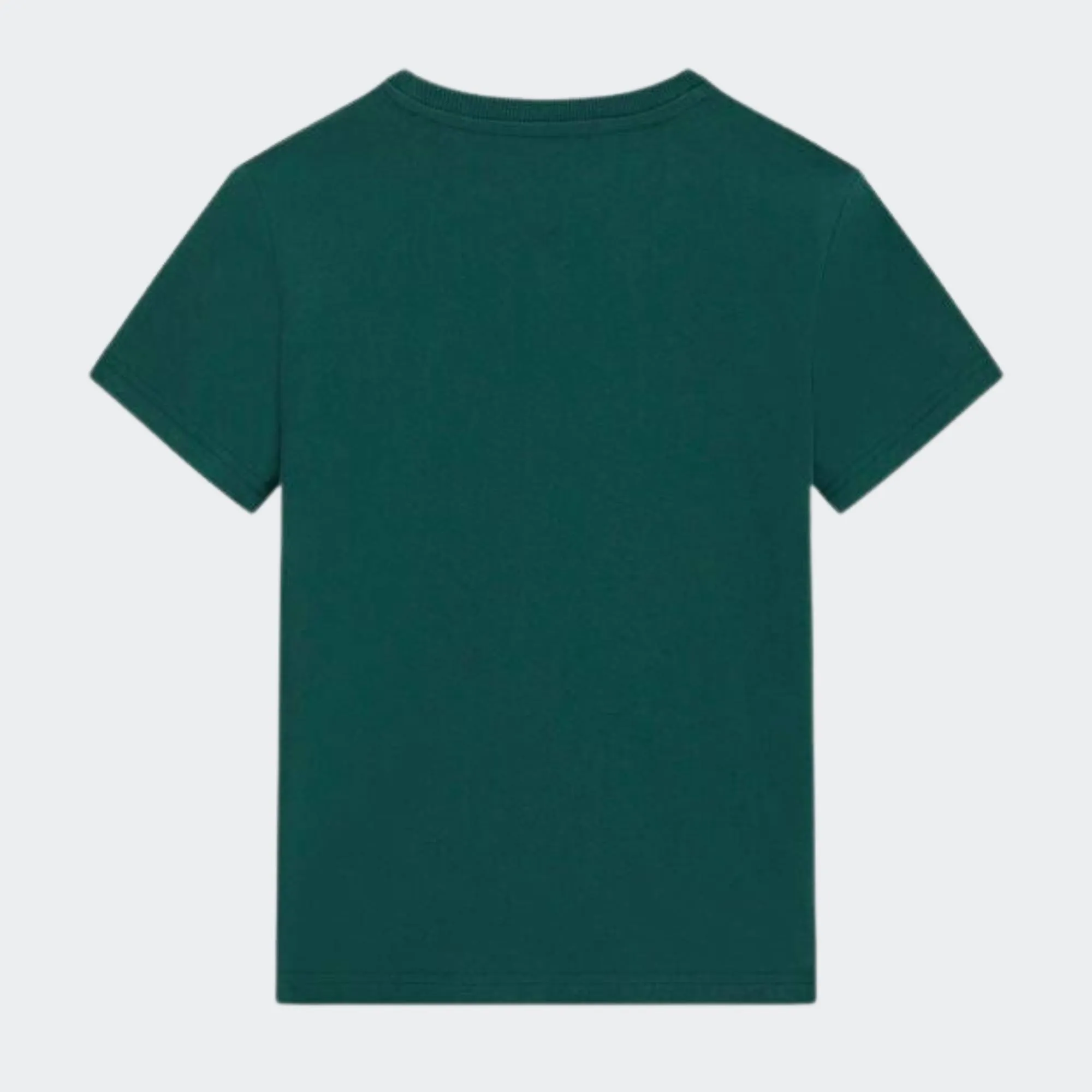 GUESS T-SHIRT MID ORGANIC COTTON