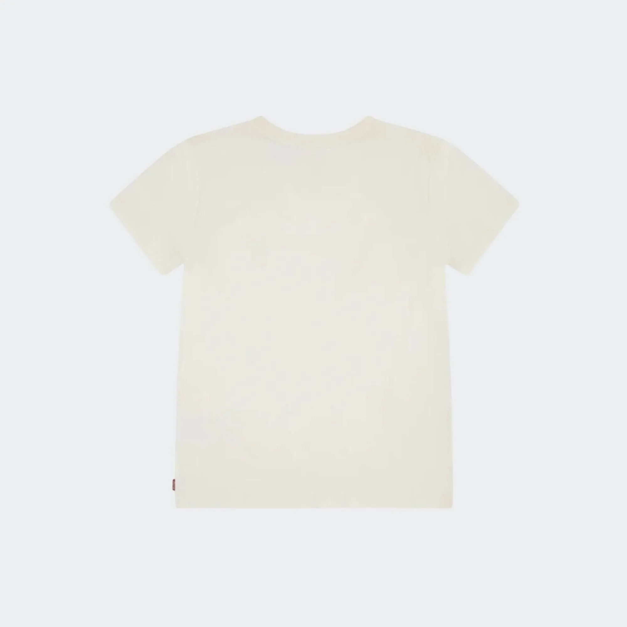 LEVI'S OMBRE BATWING TSHIRT