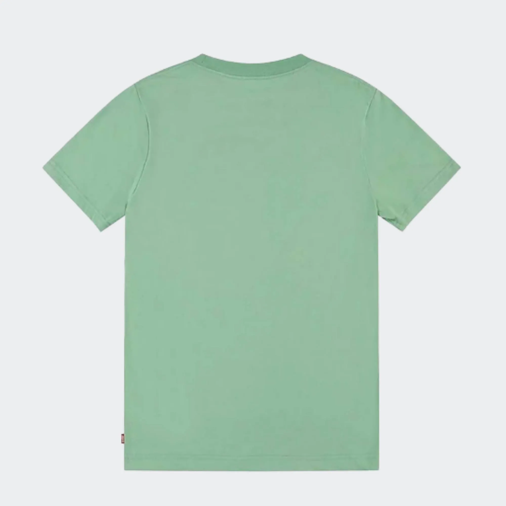 LEVI'S BATWING TSHIRT