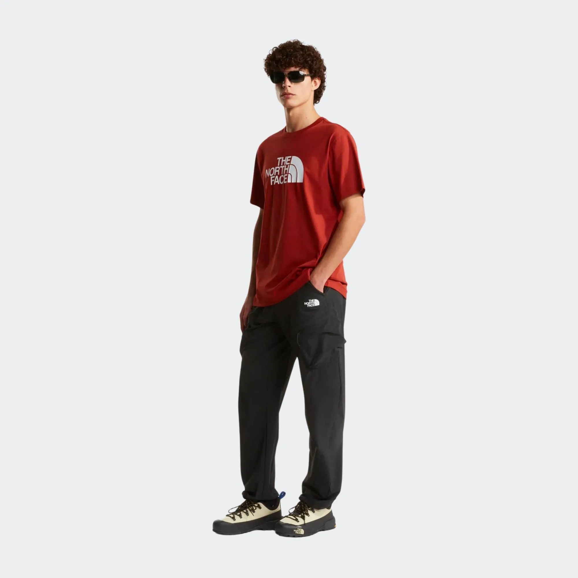 THE NORTH FACE EVO HALF DOME TEE