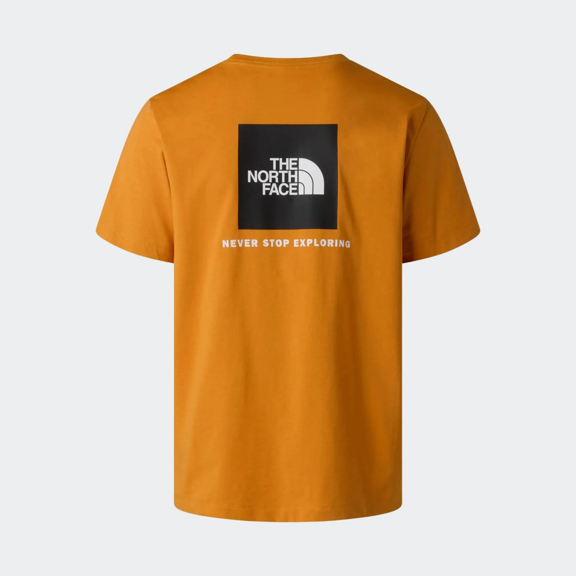 THE NORTH FACE EVO BOX TEE