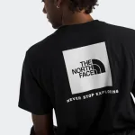 THE NORTH FACE EVO BOX NSE REGULAR TEE