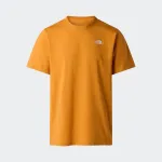 THE NORTH FACE EVO SD REGULAR TEE