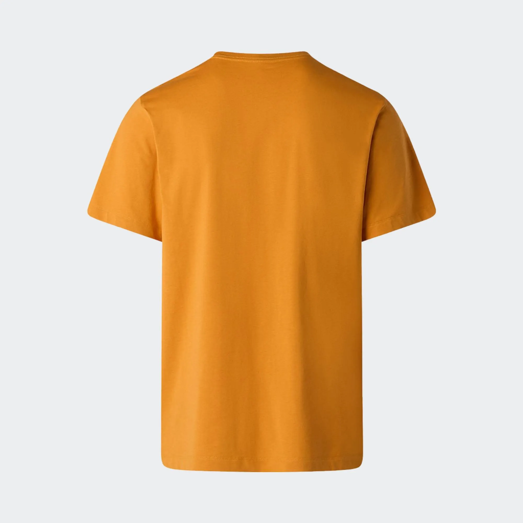 THE NORTH FACE EVO SD REGULAR TEE