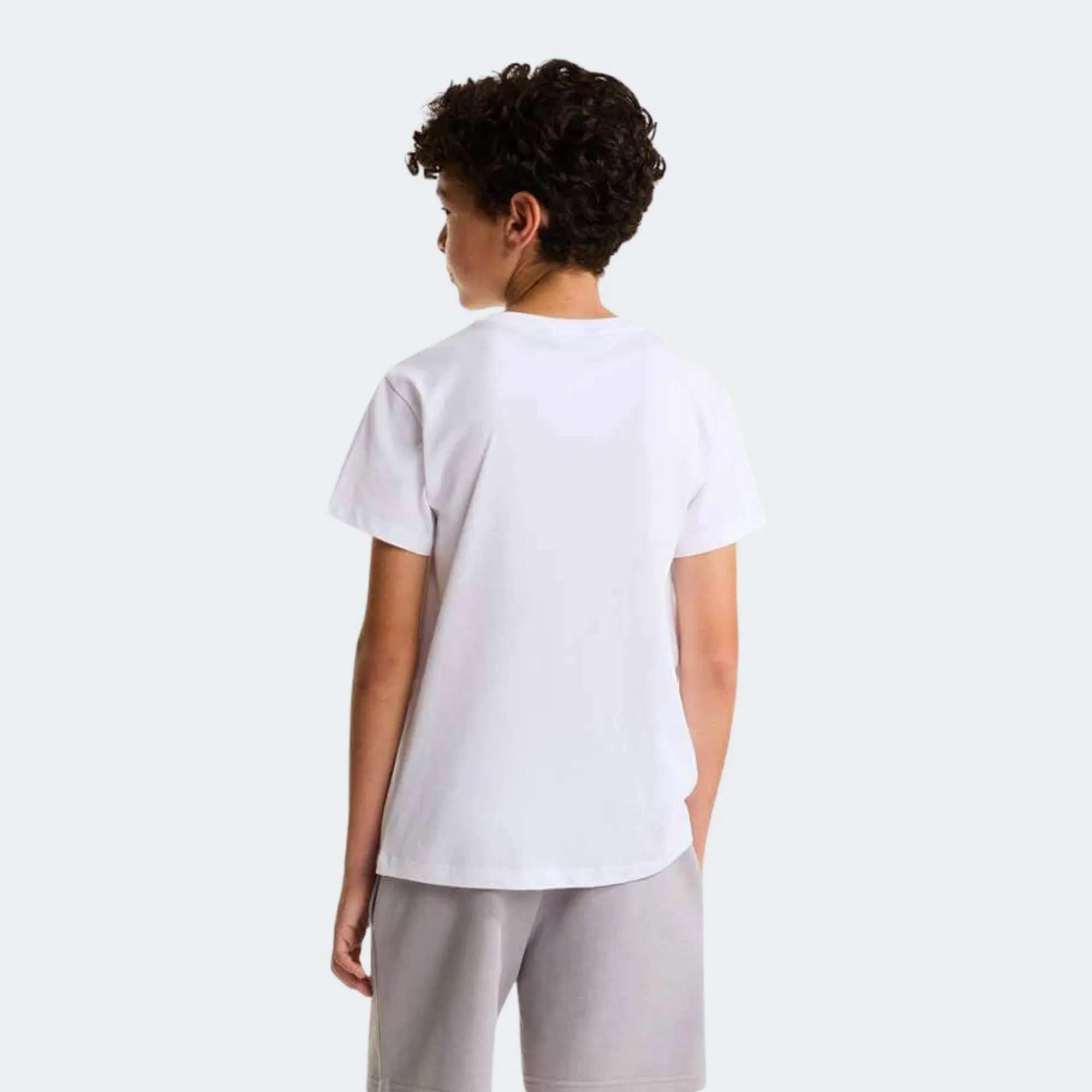 THE NORTH FACE LIQUID LOGO TEE