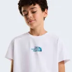 THE NORTH FACE LIQUID LOGO TEE