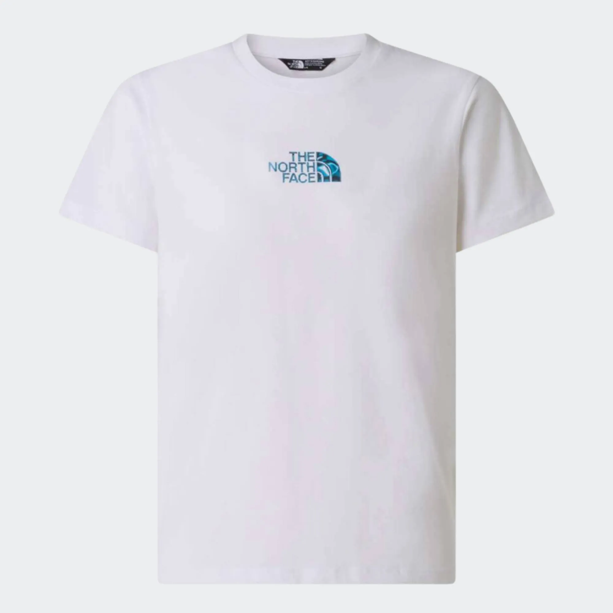 THE NORTH FACE LIQUID LOGO TEE