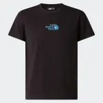 THE NORTH FACE LIQUID LOGO TEE