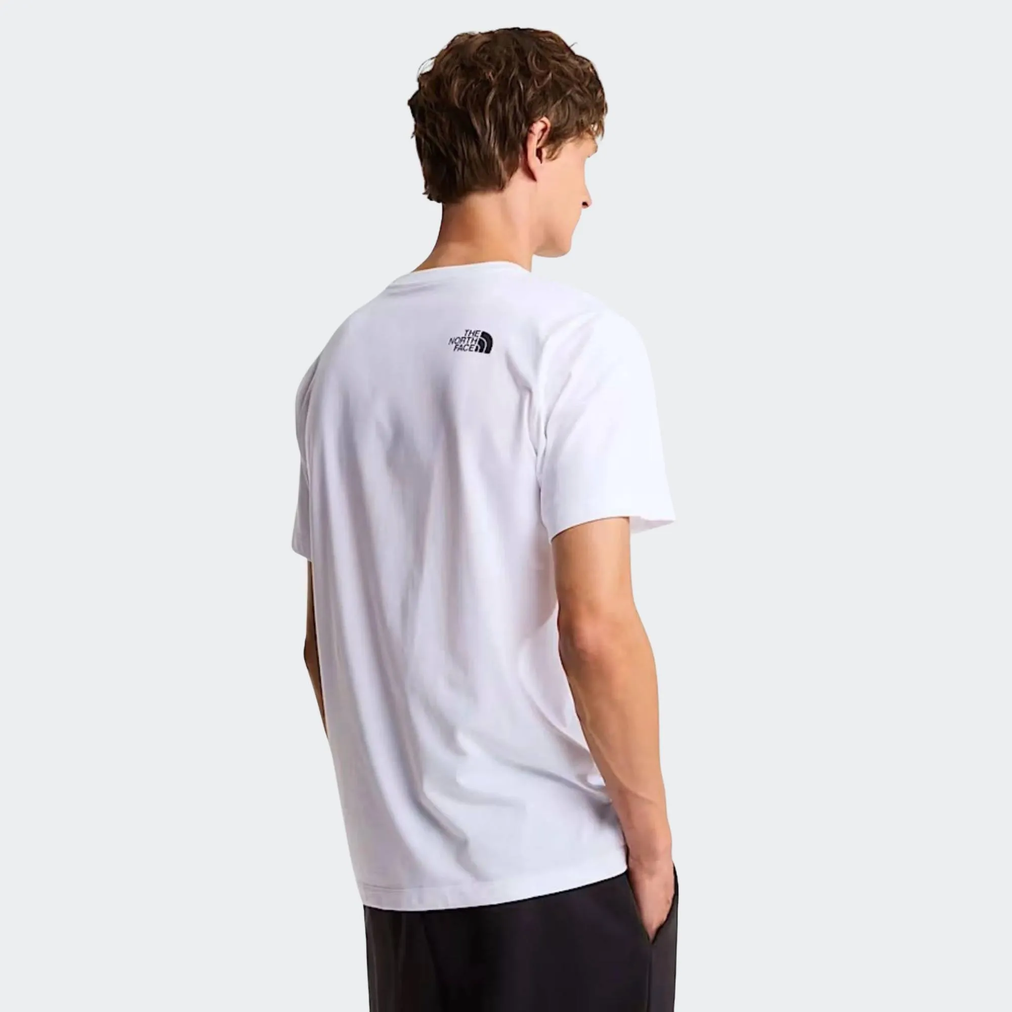 THE NORTH FACE EVO BOX TEE