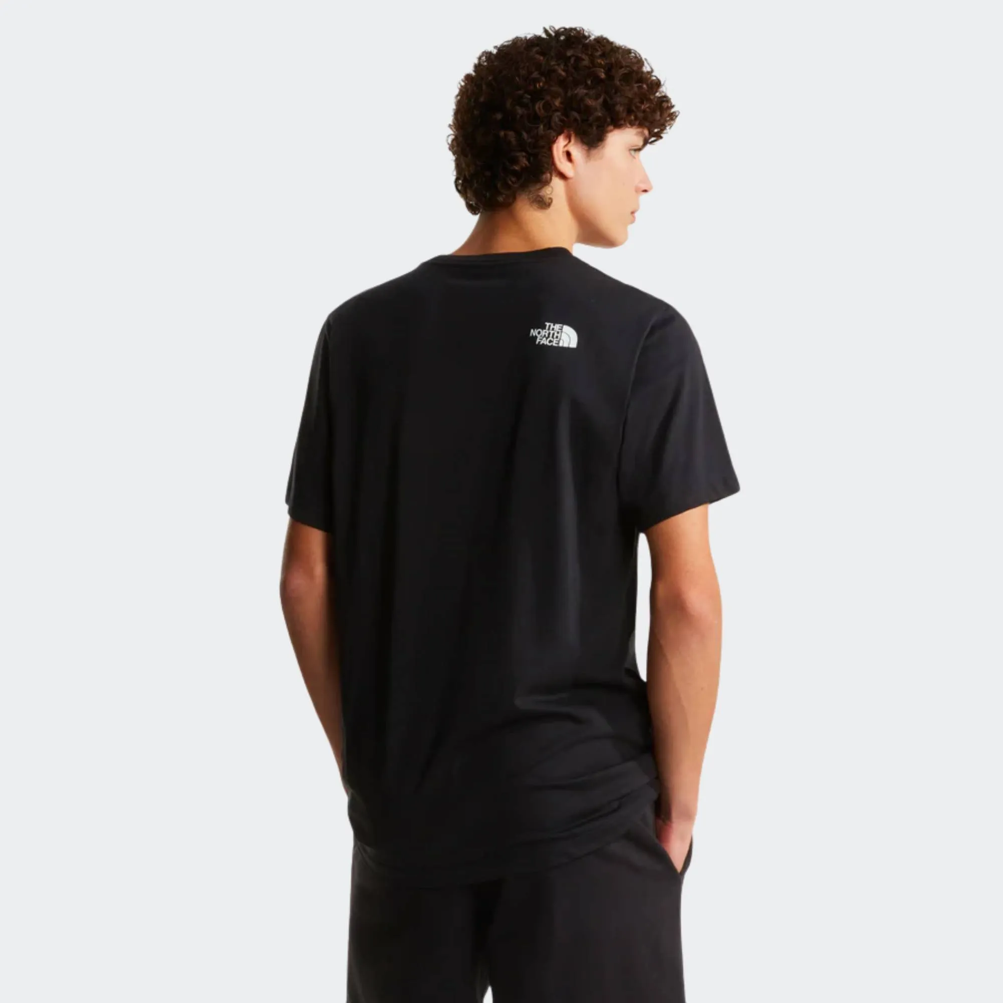 THE NORTH FACE EVO BOX TEE