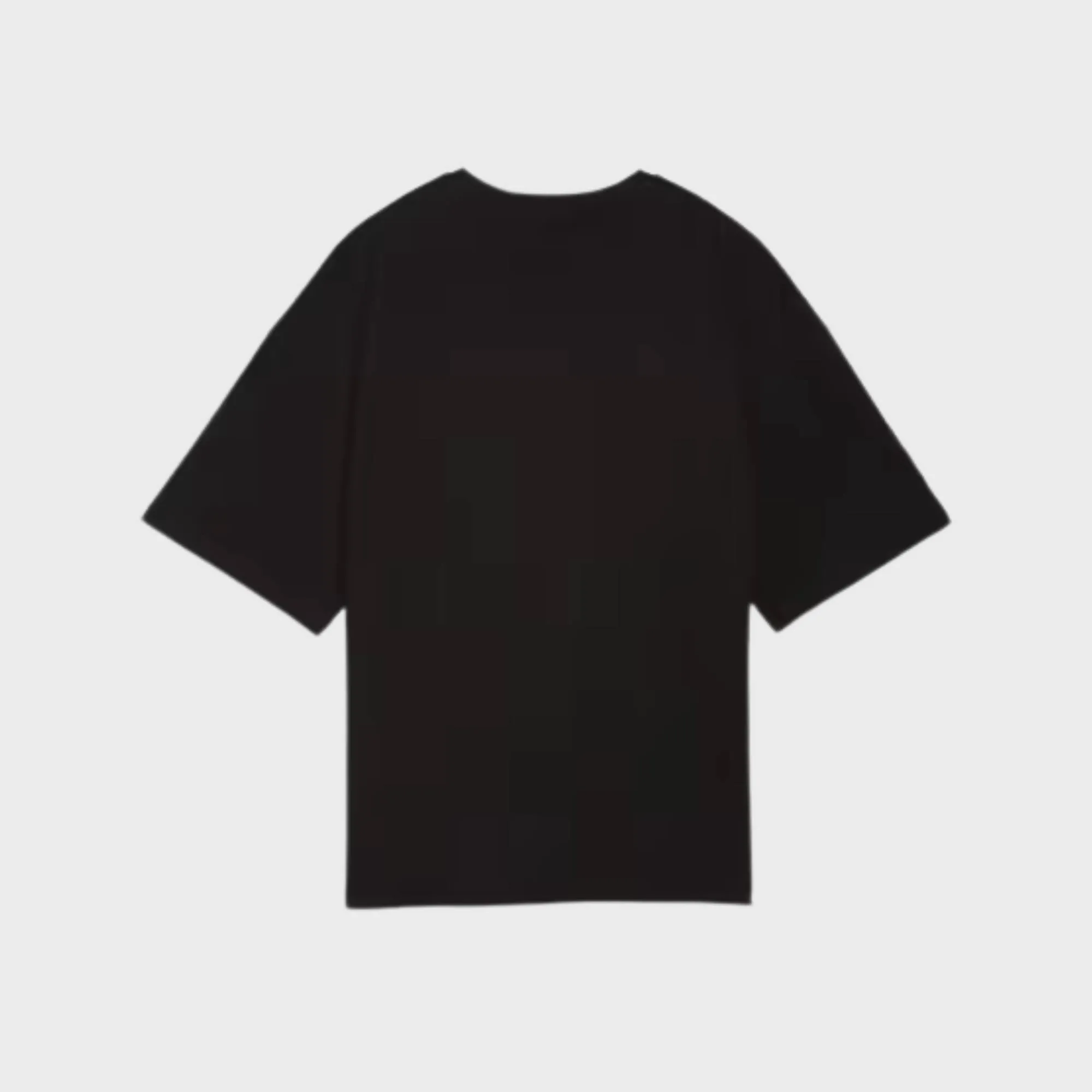 PUMA ESSENTIAL GRAPHICS LEO LUXE OVERSIZED TSHIRT