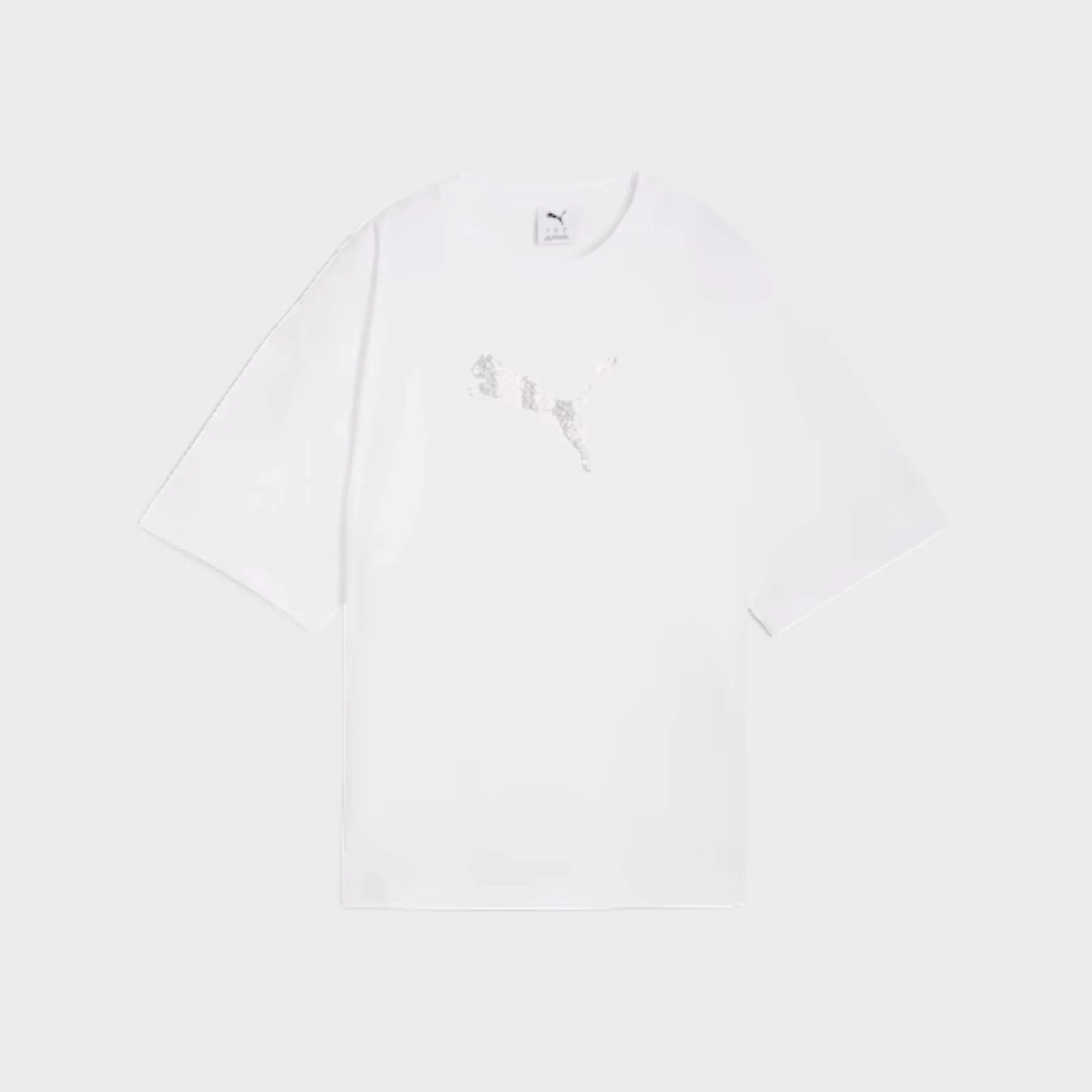 PUMA ESSENTIAL GRAPHICS LEO LUXE OVERSIZED TSHIRT