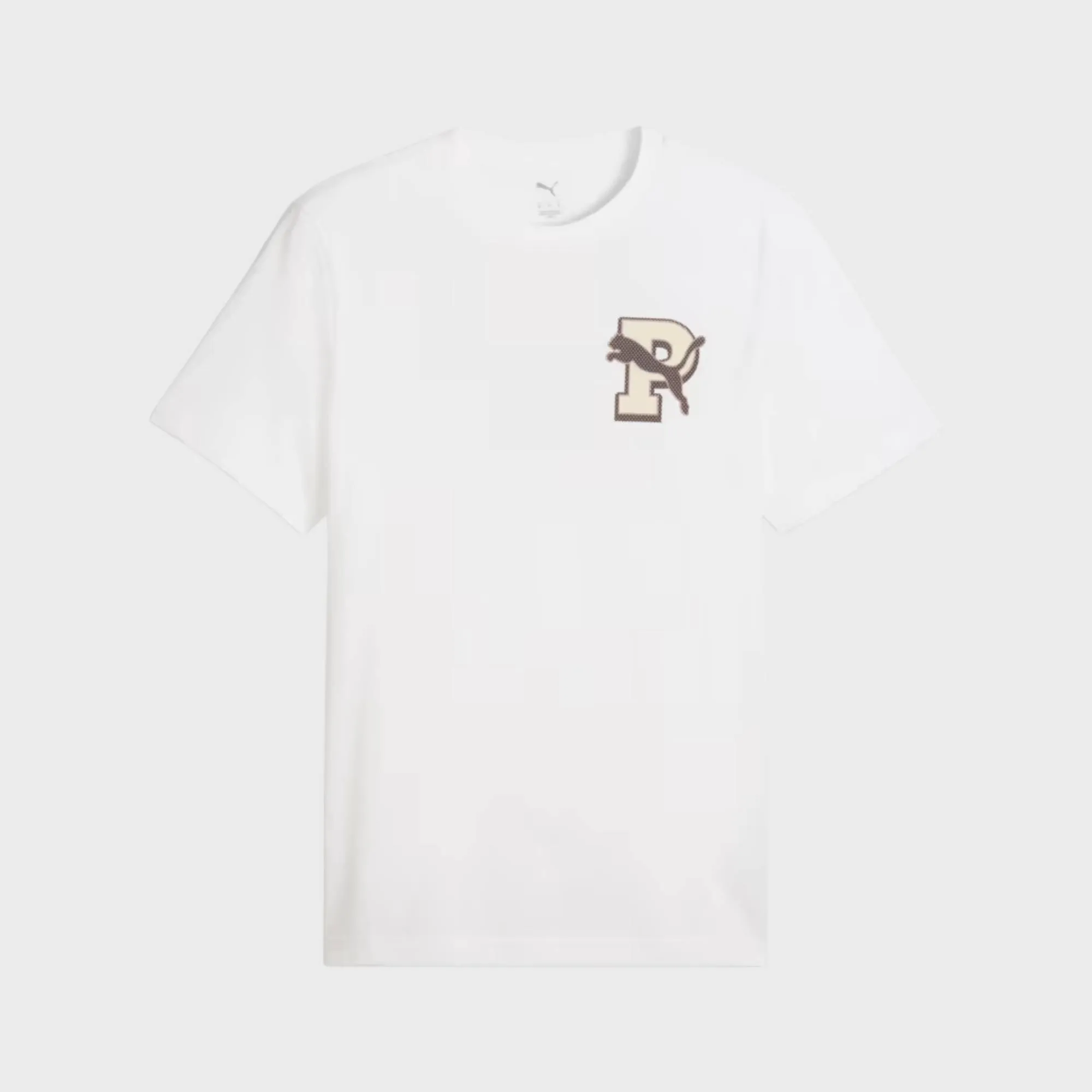 PUMA GRAPHIC VARSITY TSHIRT