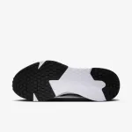 NIKE RUN DEFY