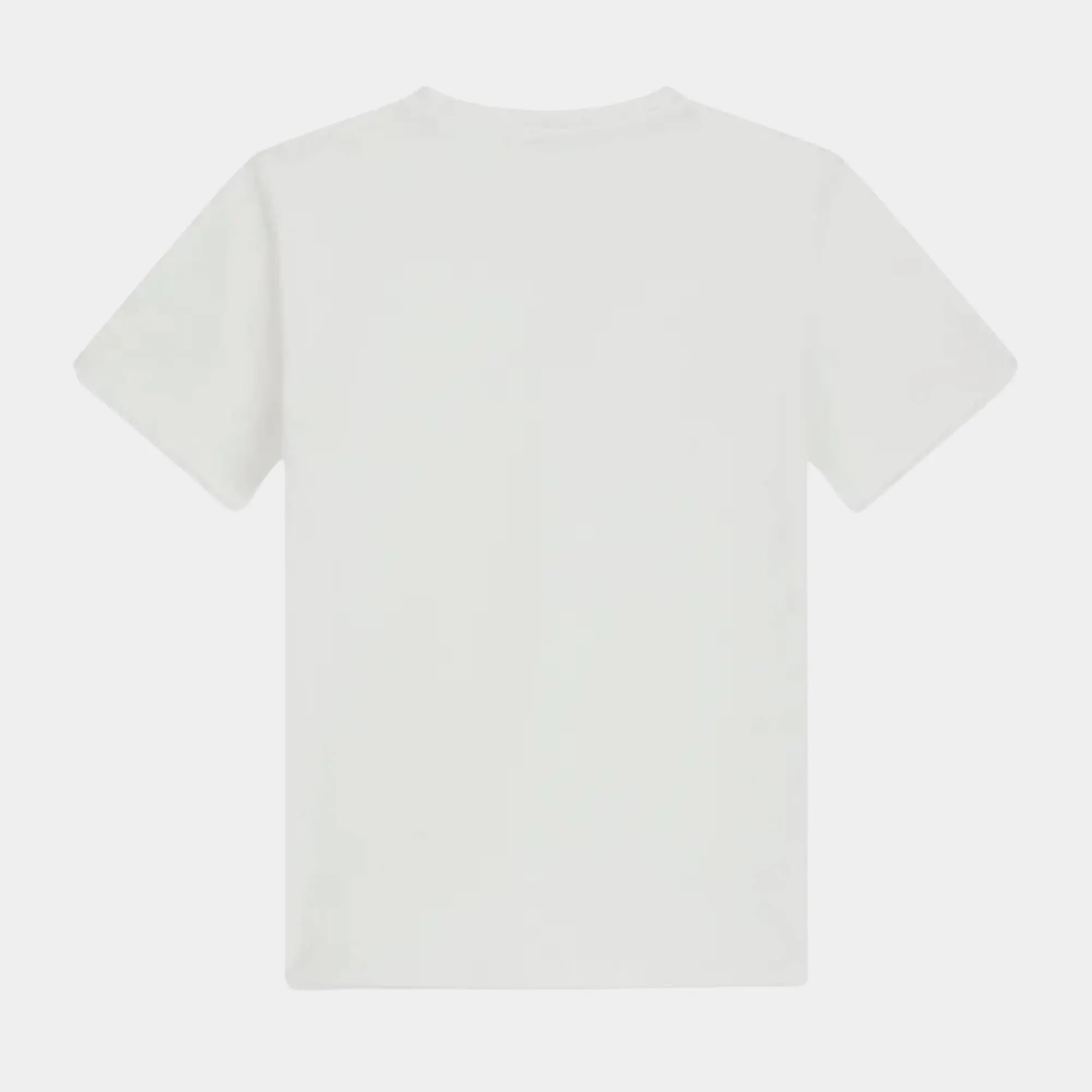 GUESS T-SHIRT MID ORGANIC COTTON