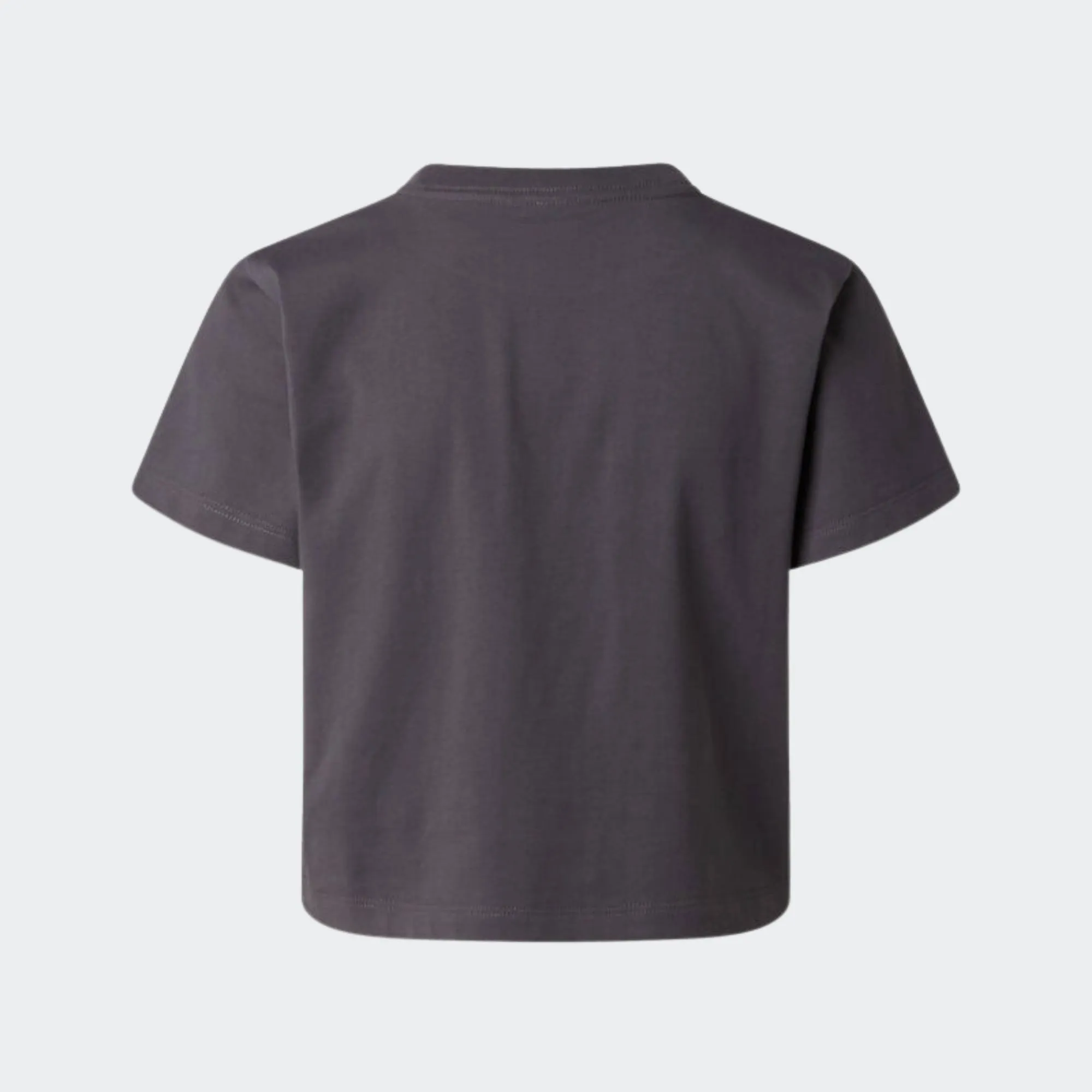 THE NORTH FACE ESSENTIAL TEE