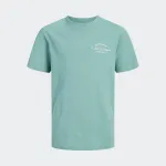 JACK & JONES BRANDON TEE JUNIOR